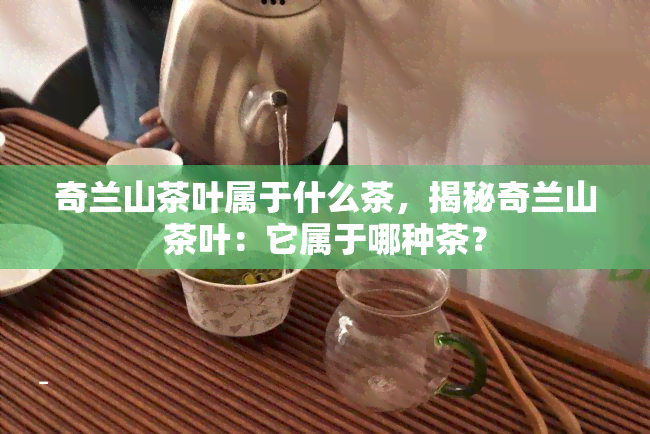 奇兰山茶叶属于什么茶，揭秘奇兰山茶叶：它属于哪种茶？