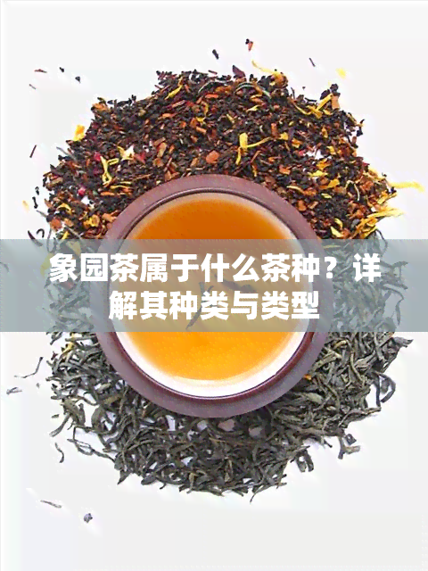 象园茶属于什么茶种？详解其种类与类型