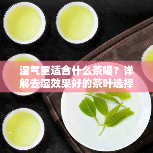 湿气重适合什么茶喝？详解去湿效果好的茶叶选择