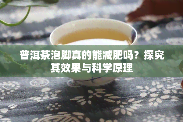 普洱茶泡脚真的能减肥吗？探究其效果与科学原理