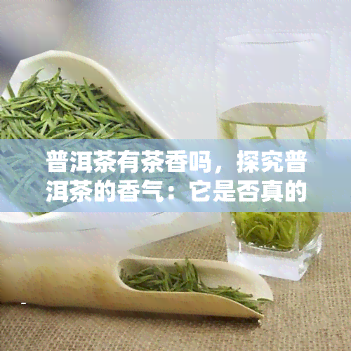 普洱茶有茶香吗，探究普洱茶的香气：它是否真的存在？