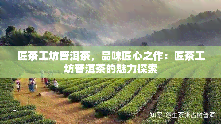 匠茶工坊普洱茶，品味匠心之作：匠茶工坊普洱茶的魅力探索