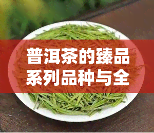 普洱茶的臻品系列品种与全揭秘