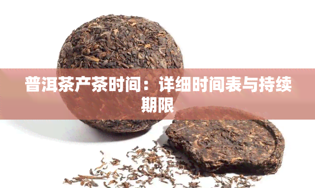 普洱茶产茶时间：详细时间表与持续期限