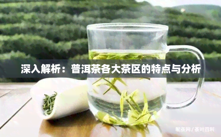 深入解析：普洱茶各大茶区的特点与分析