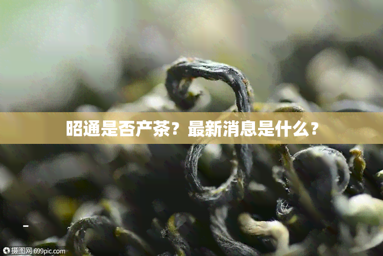 昭通是否产茶？最新消息是什么？