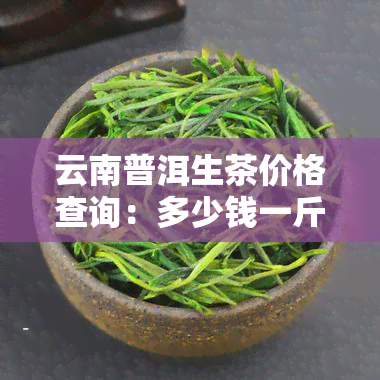 云南普洱生茶价格查询：多少钱一斤？