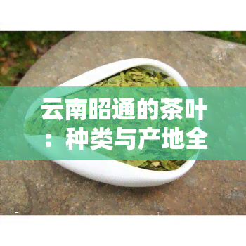 云南昭通的茶叶：种类与产地全揭秘