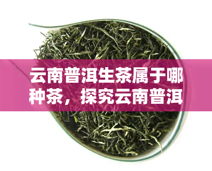 云南普洱生茶属于哪种茶，探究云南普洱生茶的种类归属