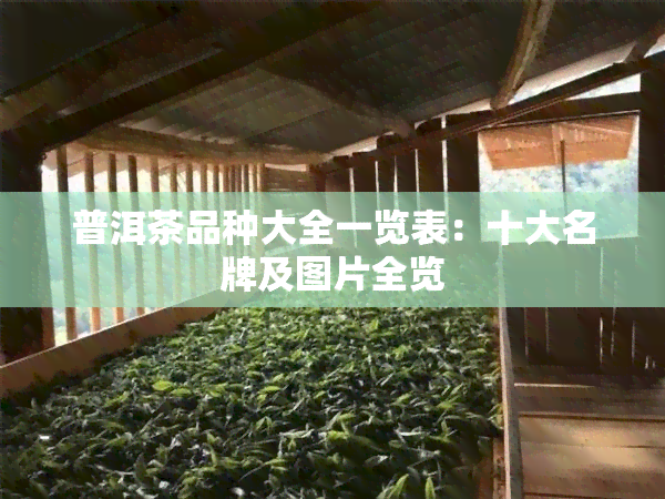 普洱茶品种大全一览表：十大名牌及图片全览