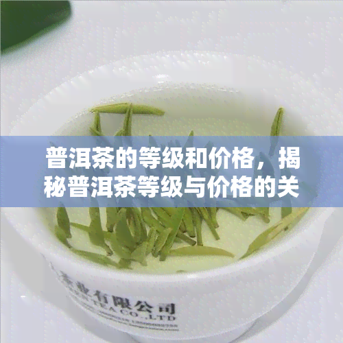 普洱茶的等级和价格，揭秘普洱茶等级与价格的关系，带你了解茶叶选购的秘密