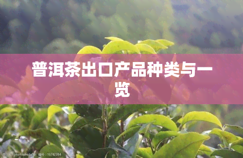 普洱茶出口产品种类与一览