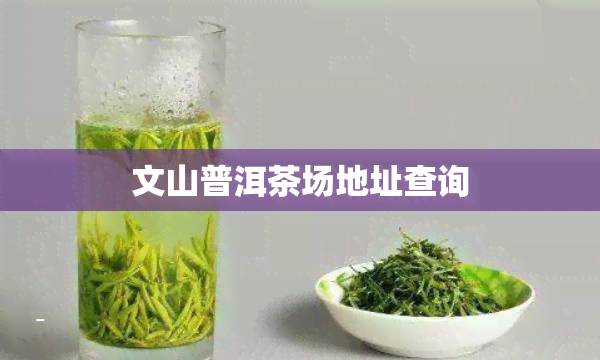 文山普洱茶场地址查询