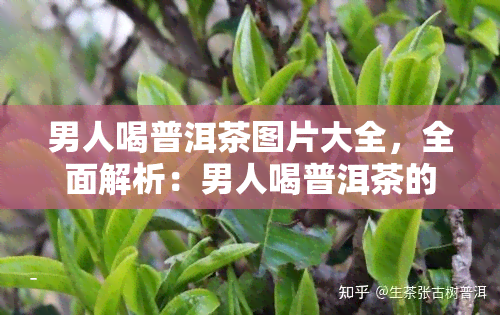 男人喝普洱茶图片大全，全面解析：男人喝普洱茶的益处与正确泡法，附高清图片大全！