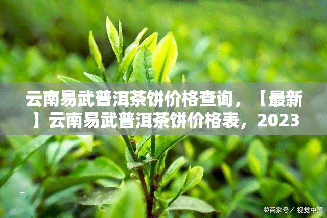 云南易武普洱茶饼价格查询，【最新】云南易武普洱茶饼价格表，2023年易武古树茶饼多少钱一饼？