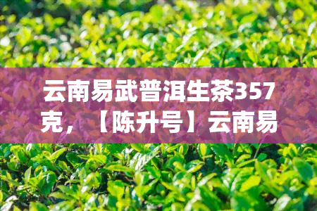 云南易武普洱生茶357克，【陈升号】云南易武正山古树普洱生茶，357g/饼，7片/提，14提/件