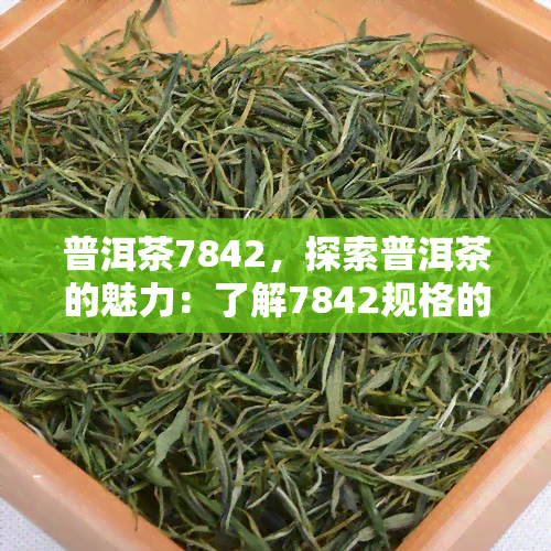 普洱茶7842，探索普洱茶的魅力：了解7842规格的精髓