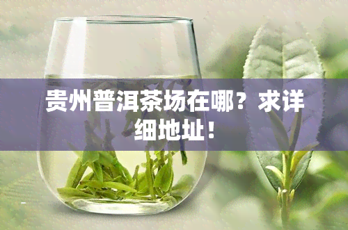 贵州普洱茶场在哪？求详细地址！