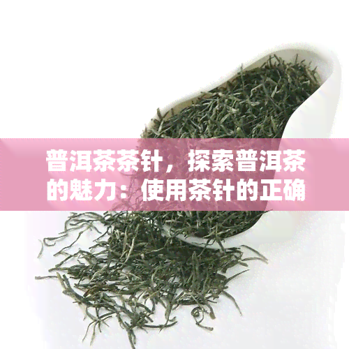 普洱茶茶针，探索普洱茶的魅力：使用茶针的正确方法与技巧