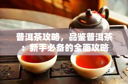 普洱茶攻略，品鉴普洱茶：新手必备的全面攻略