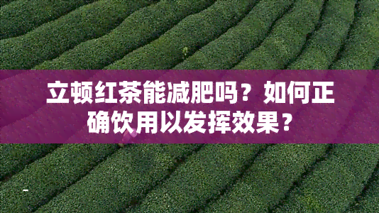 立顿红茶能减肥吗？如何正确饮用以发挥效果？