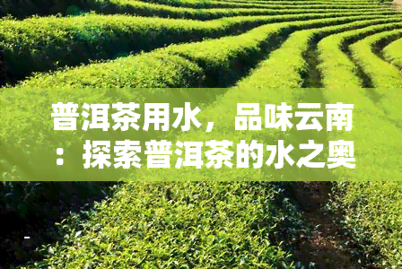 普洱茶用水，品味云南：探索普洱茶的水之奥秘