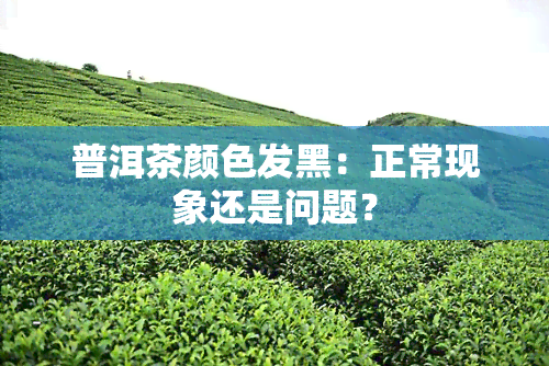 普洱茶颜色发黑：正常现象还是问题？