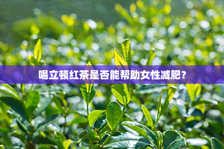 喝立顿红茶是否能帮助女性减肥？