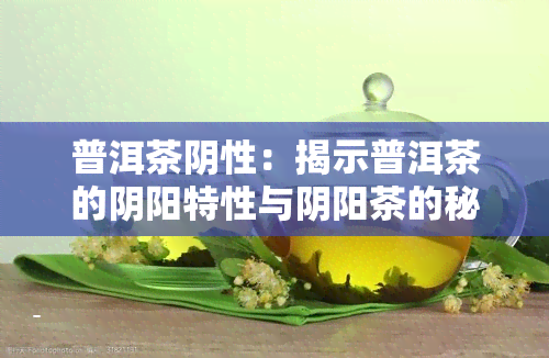 普洱茶阴性：揭示普洱茶的阴阳特性与阴阳茶的秘密