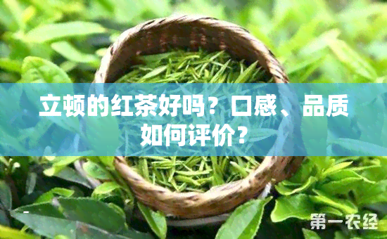 立顿的红茶好吗？口感、品质如何评价？