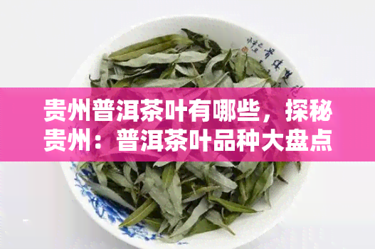 贵州普洱茶叶有哪些，探秘贵州：普洱茶叶品种大盘点