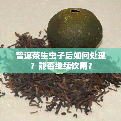 普洱茶生虫子后如何处理？能否继续饮用？