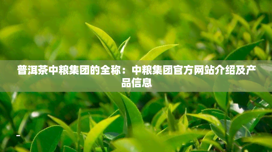 普洱茶中粮集团的全称：中粮集团官方网站介绍及产品信息