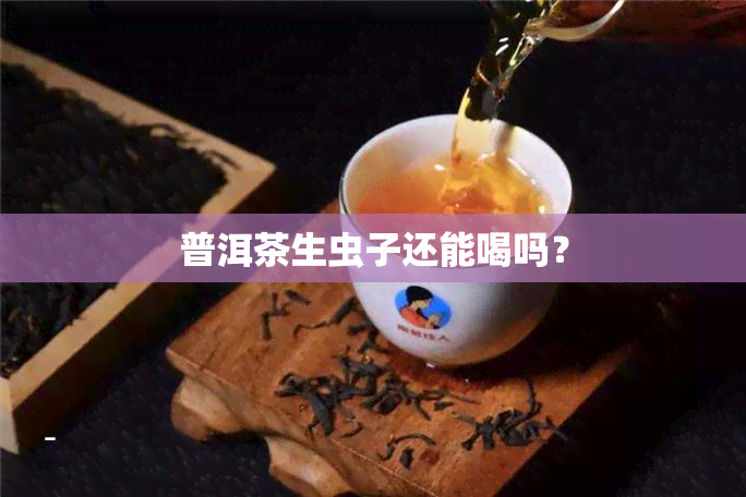 普洱茶生虫子还能喝吗？