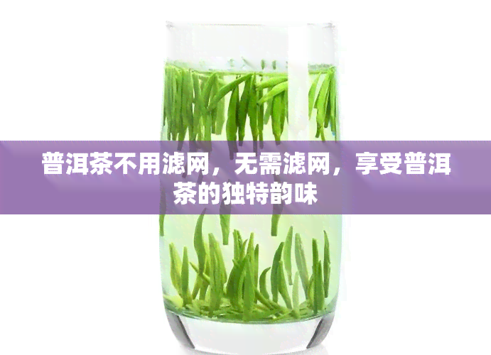 普洱茶不用滤网，无需滤网，享受普洱茶的独特韵味