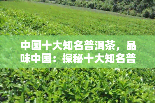 中国十大知名普洱茶，品味中国：探秘十大知名普洱茶的魅力