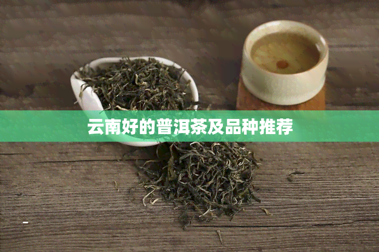 云南好的普洱茶及品种推荐