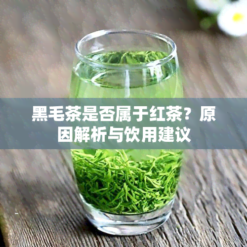 黑毛茶是否属于红茶？原因解析与饮用建议