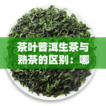 茶叶普洱生茶与熟茶的区别：哪个更好？