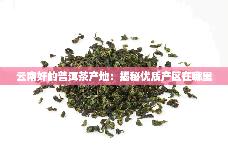 云南好的普洱茶产地：揭秘优质产区在哪里