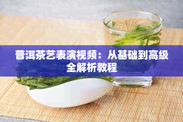 普洱茶艺表演视频：从基础到高级全解析教程