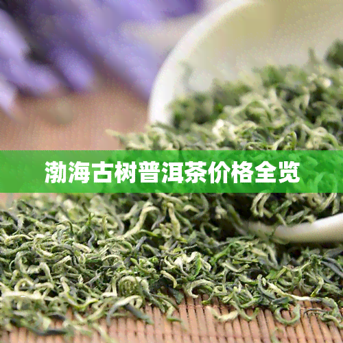 渤海古树普洱茶价格全览