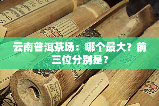 云南普洱茶场：哪个更大？前三位分别是？