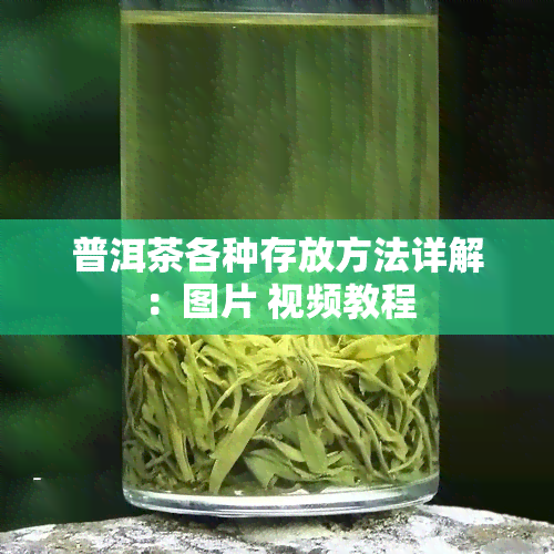 普洱茶各种存放方法详解：图片 视频教程