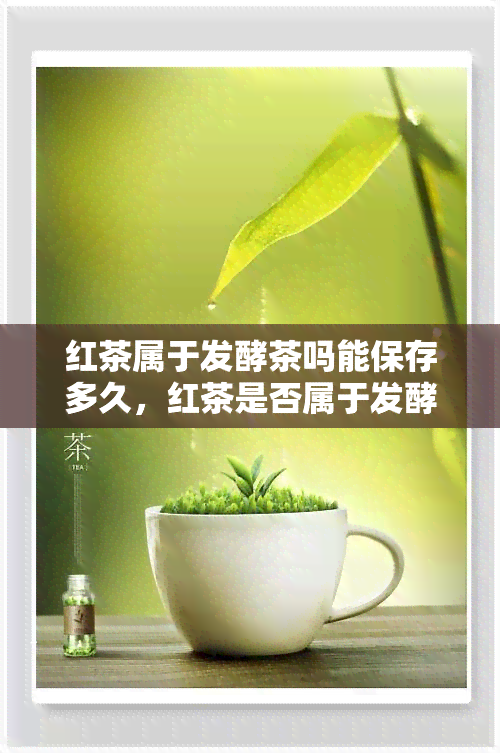 红茶属于发酵茶吗能保存多久，红茶是否属于发酵茶？以及其保存期限是多久？