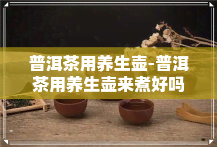 普洱茶用养生壶-普洱茶用养生壶来煮好吗