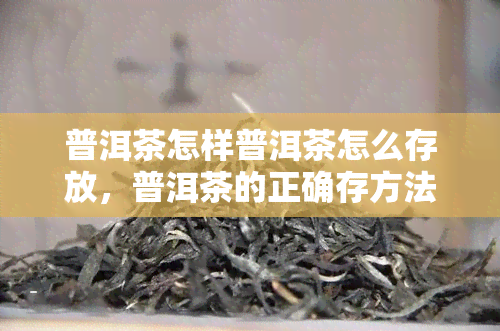 普洱茶怎样普洱茶怎么存放，普洱茶的正确存方法：让你的茶叶保持状态