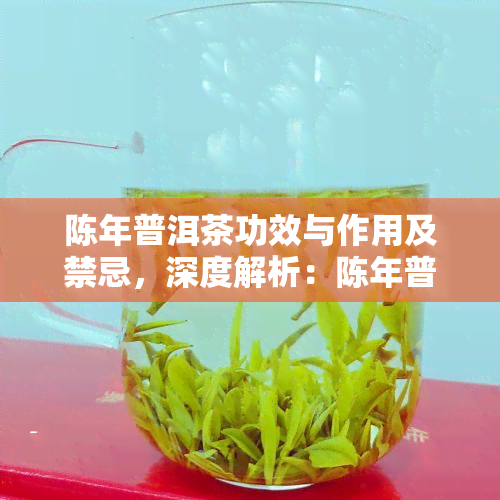 陈年普洱茶功效与作用及禁忌，深度解析：陈年普洱茶的功效、作用与饮用禁忌