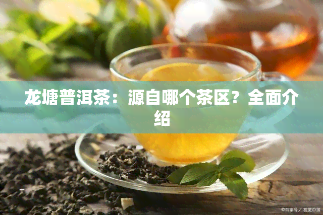 龙塘普洱茶：源自哪个茶区？全面介绍