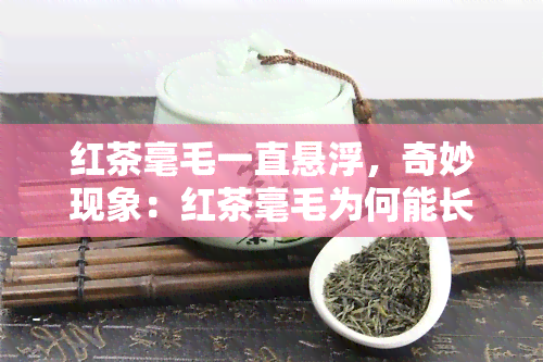 红茶毫毛一直悬浮，奇妙现象：红茶毫毛为何能长时间悬浮不落？